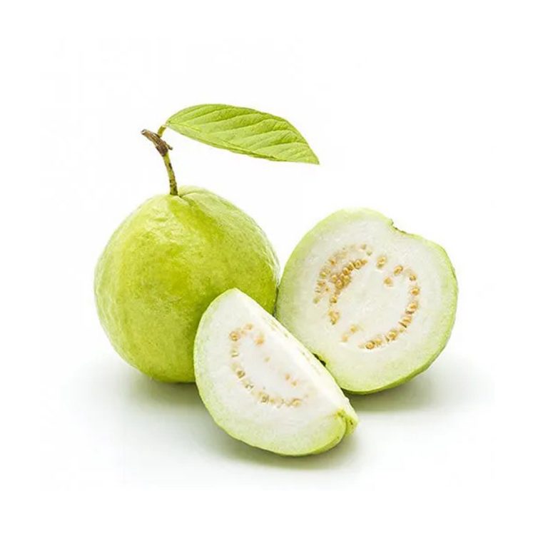 Guava - SP Fresh Intertrade