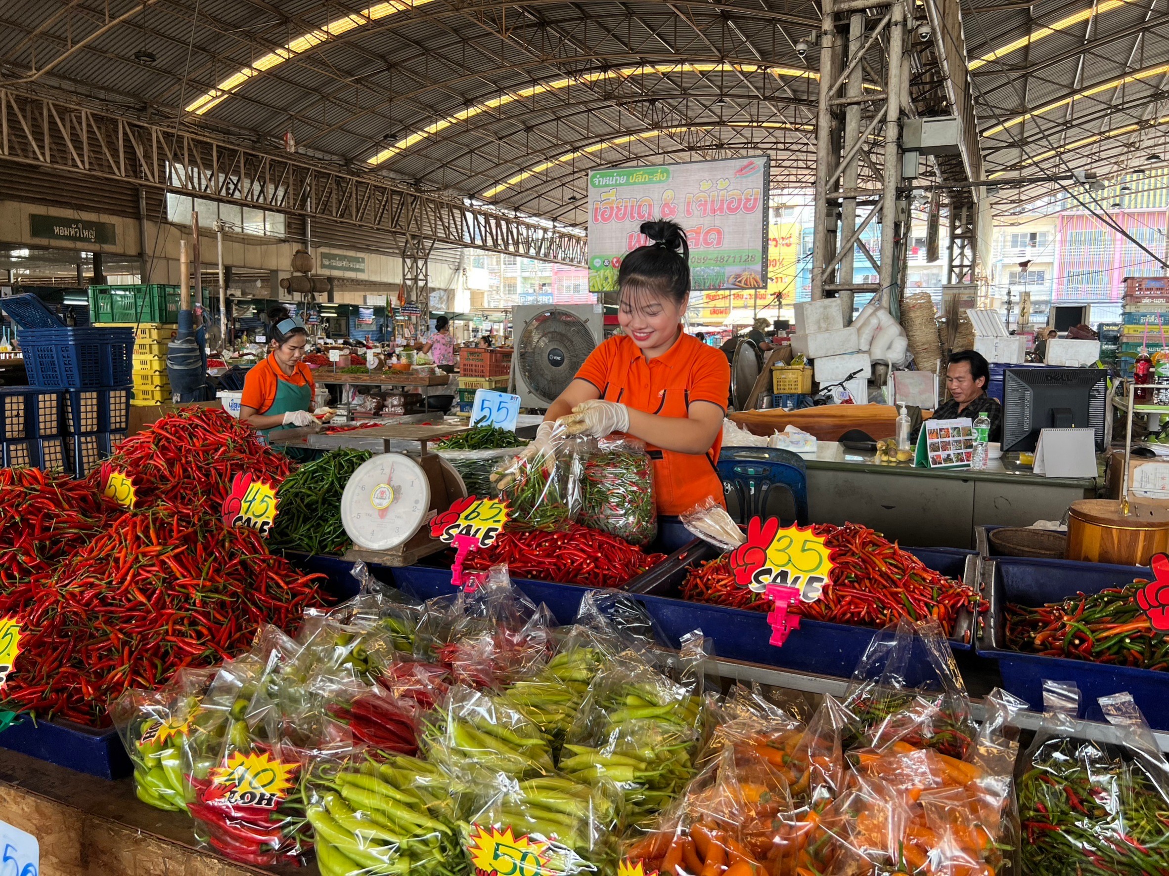 Chili Stall (Talaad Thai market) - SP Fresh Intertrade