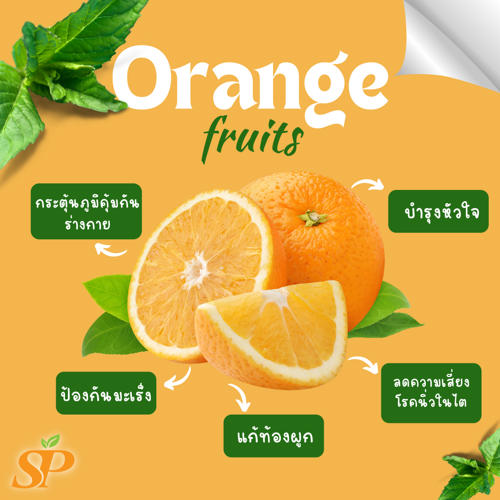 ส้ม (Orange) ผลไม้ยอดฮิตตลอดกาล