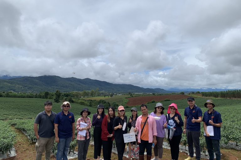 ออดิทแปลงพริก จ.ตาก